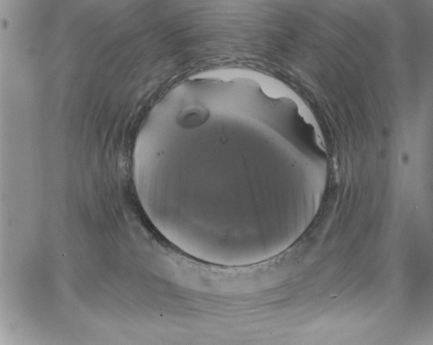 X0000066970039200604211918