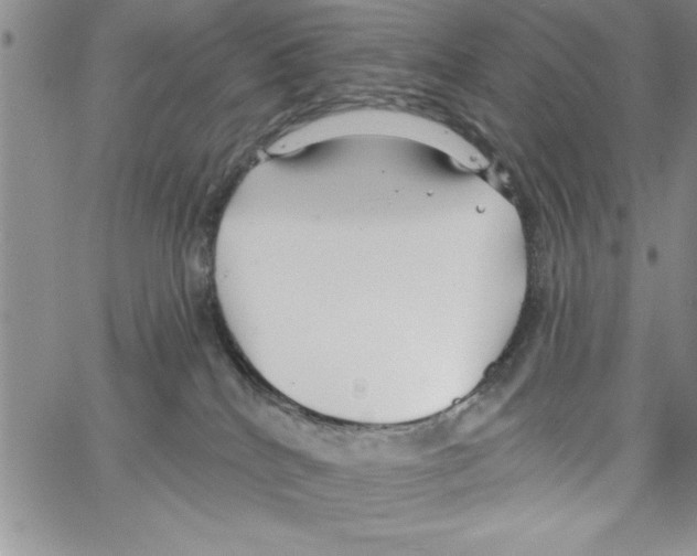 X0000066970040200604211918