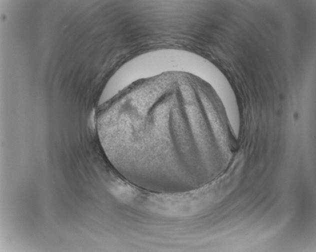 X0000066970041200604211917