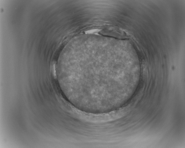 X0000066970042200604211917