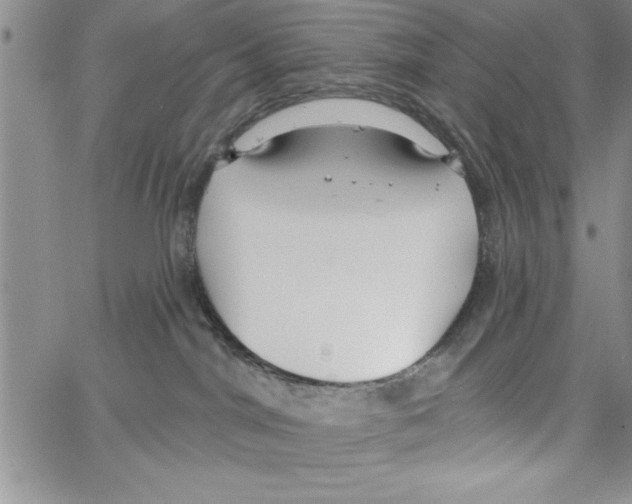 X0000066970044200604211917