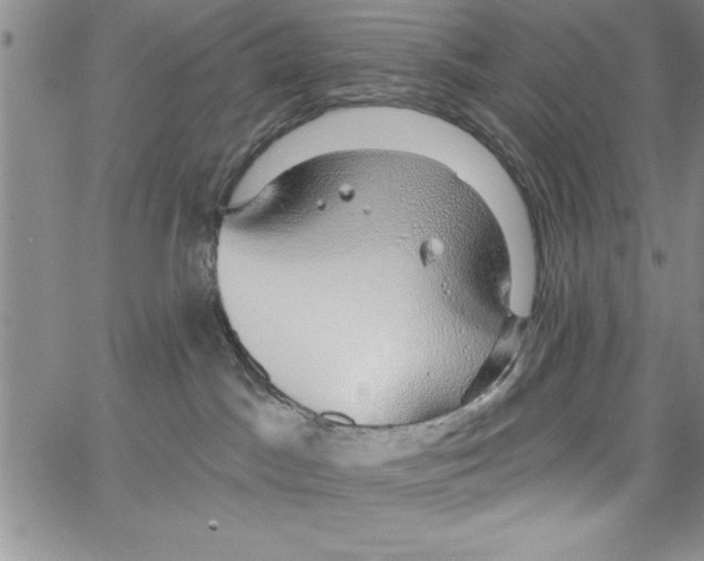 X0000066970045200604211917