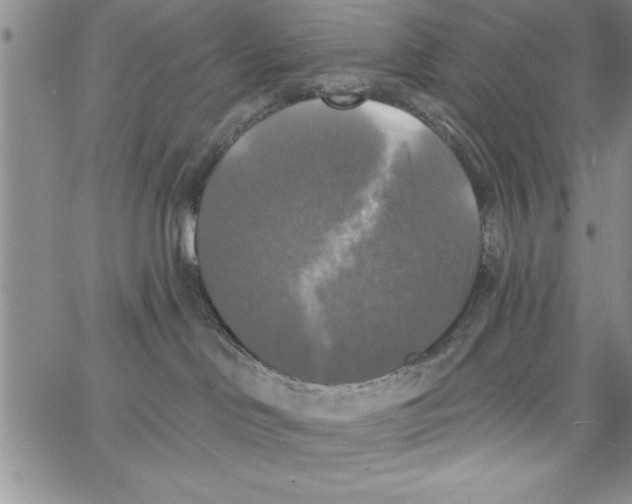 X0000066970046200604211917