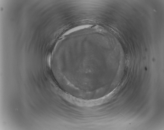 X0000066970047200604211917