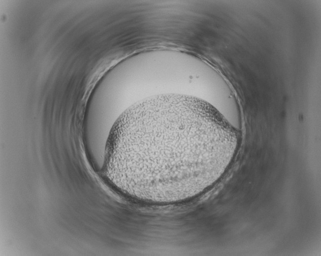 X0000066970049200604211917