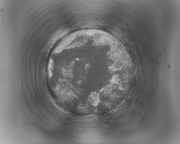 X0000066970050200604211917