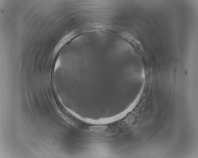 X0000066970051200604211917