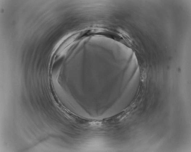 X0000066970052200604211917