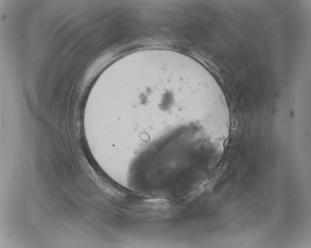 X0000066970053200604211917