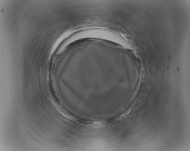 X0000066970056200604211917