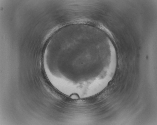 X0000066970059200604211917