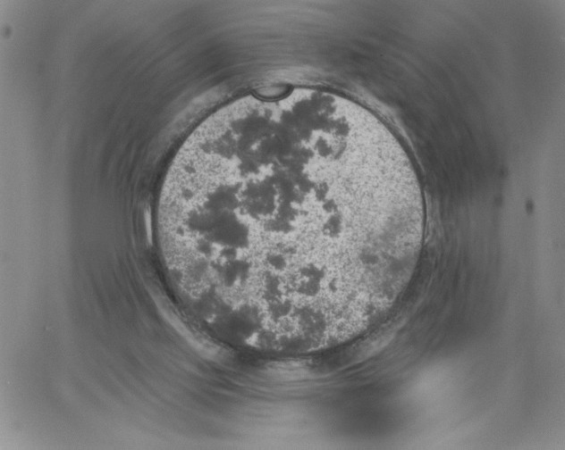 X0000066970061200604211917