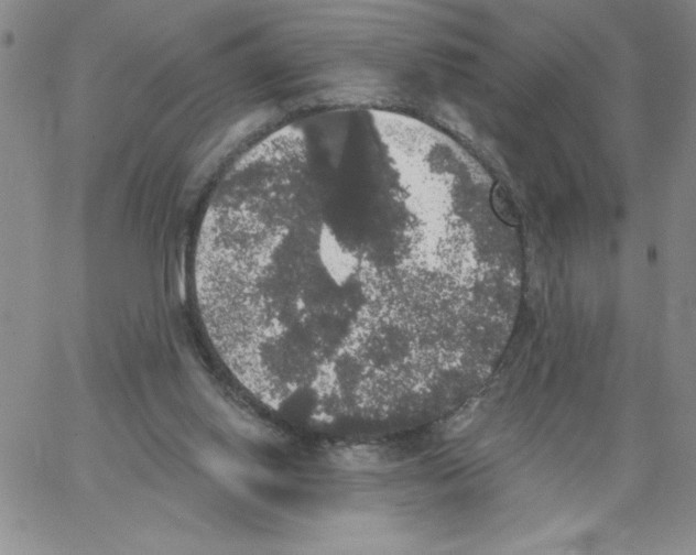 X0000066970062200604211917