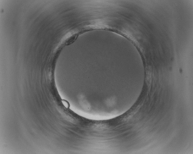 X0000066970063200604211917