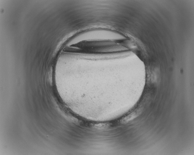 X0000066970064200604211917