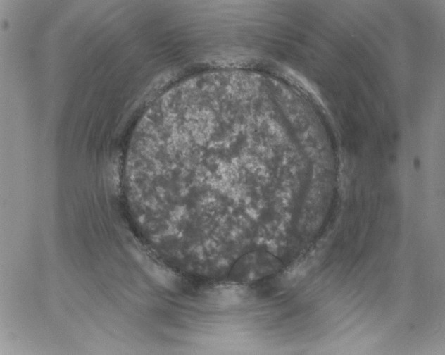 X0000066970065200604211917