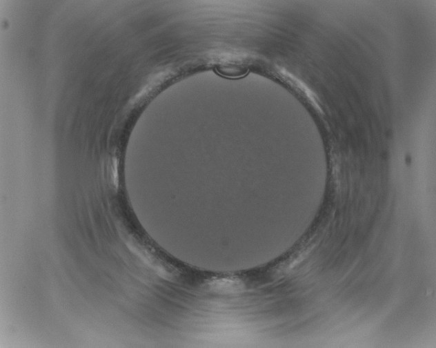 X0000066970067200604211917