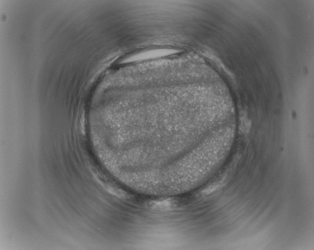 X0000066970068200604211917