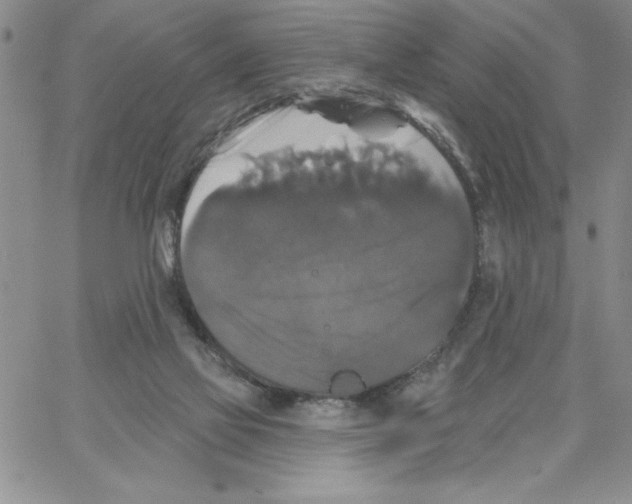 X0000066970069200604211917