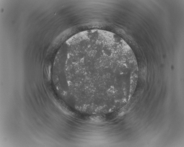 X0000066970070200604211917