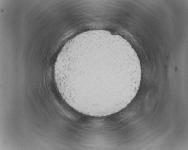 X0000066970071200604211917