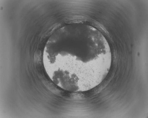 X0000066970073200604211917