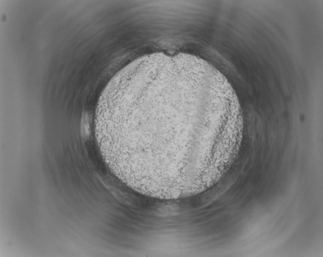 X0000066970075200604211917