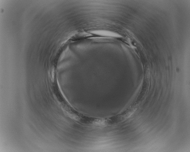 X0000066970076200604211917