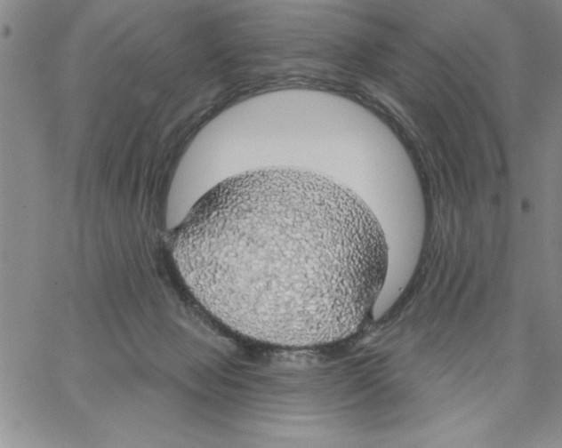 X0000066970077200604211917