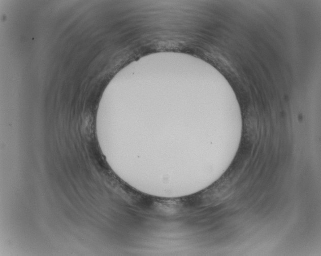 X0000066970079200604211917