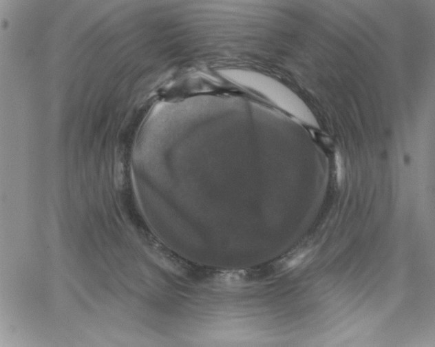 X0000066970080200604211917