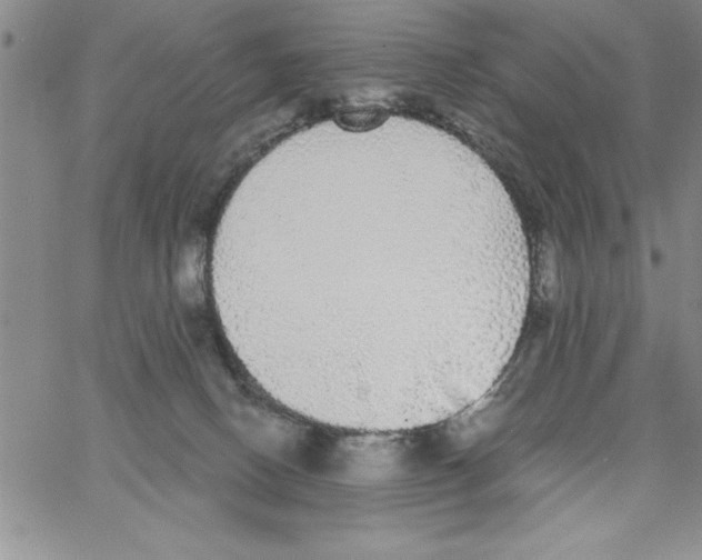 X0000066970082200604211917