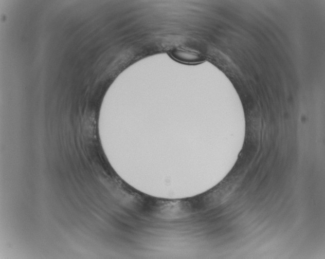 X0000066970083200604211917