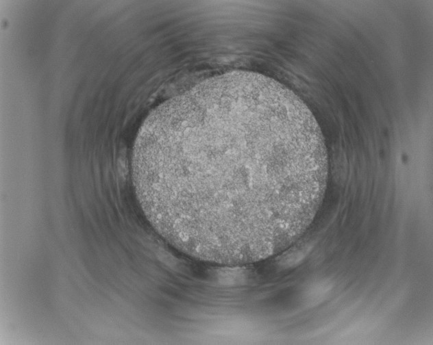 X0000066970085200604211917