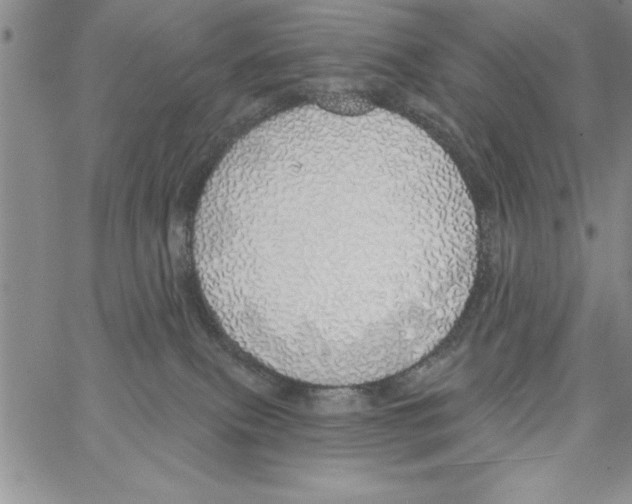 X0000066970087200604211917