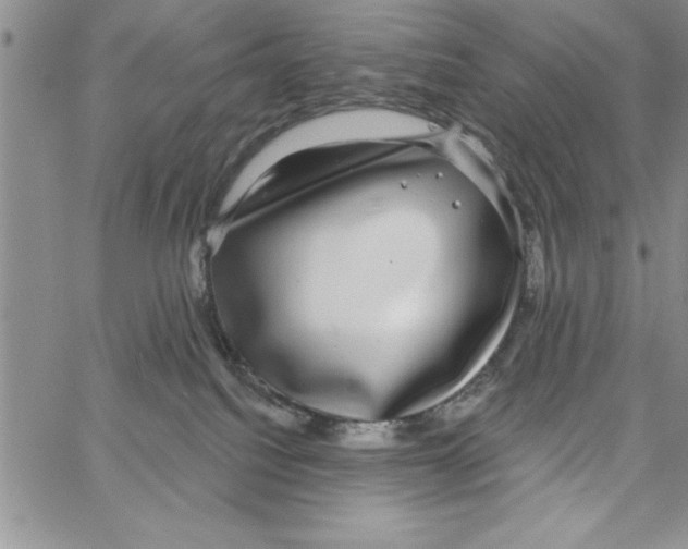 X0000066970088200604211917