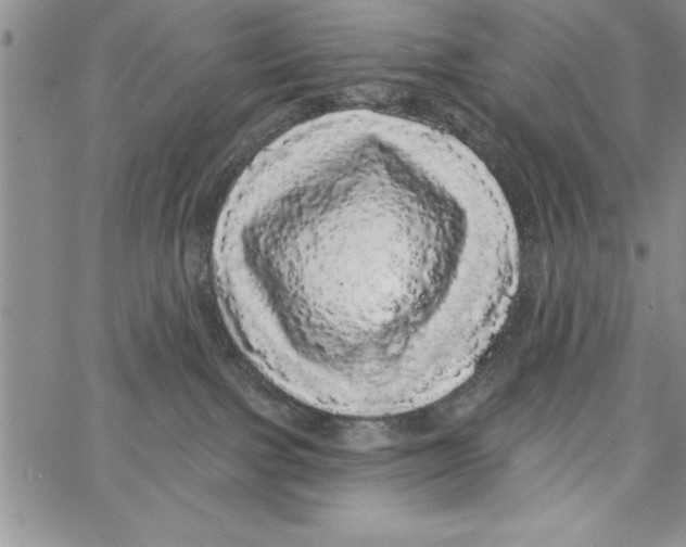 X0000066970091200604211917