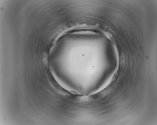 X0000066970092200604211917