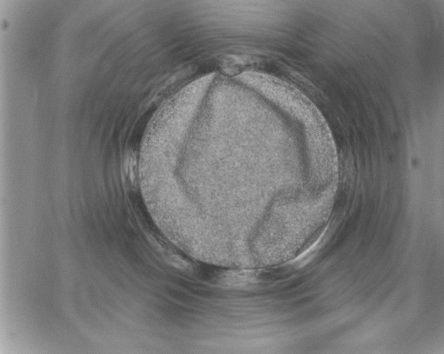 X0000066970094200604211917