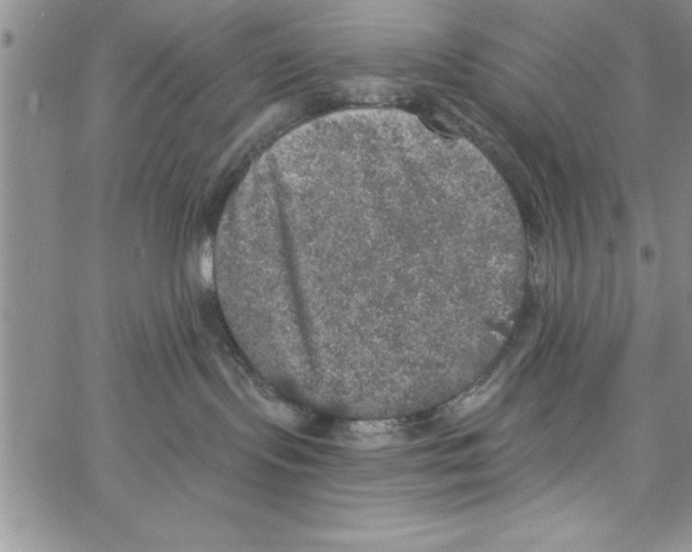 X0000066970095200604211917