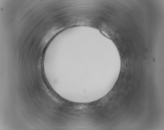 X0000066970098200604211917