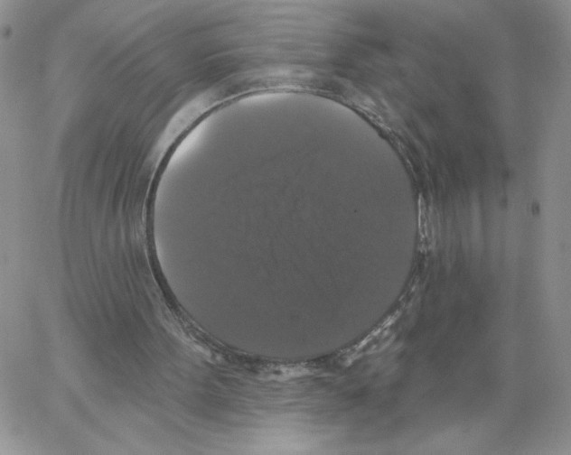 X0000066970099200604211917