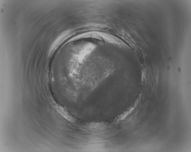 X0000066970101200604211917