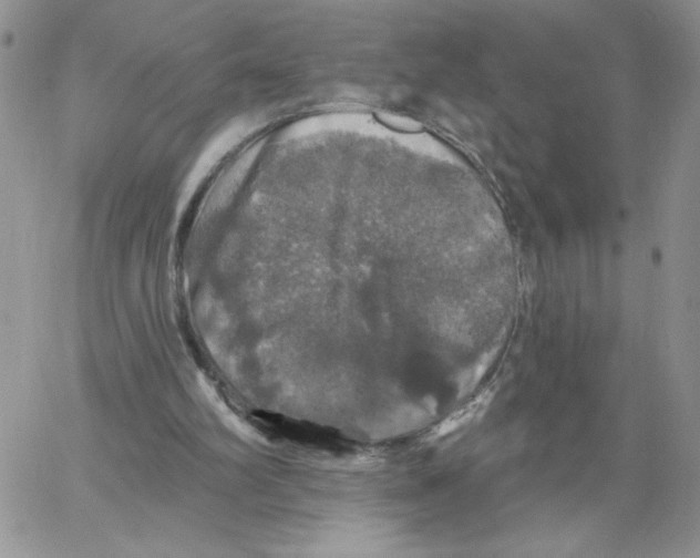 X0000066970102200604211916