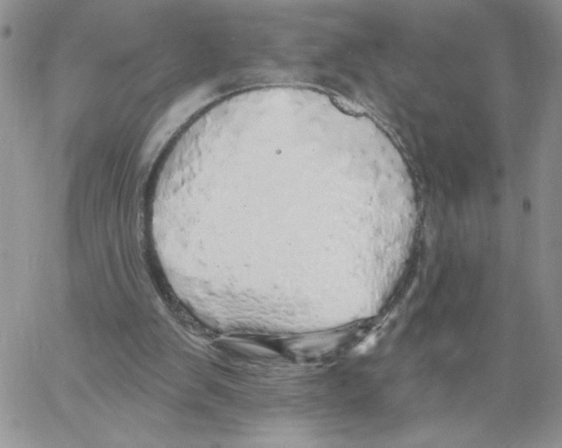 X0000066970103200604211916