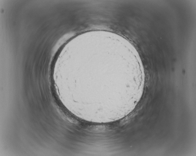 X0000066970104200604211916