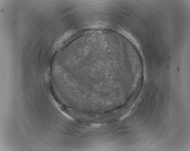 X0000066970105200604211916