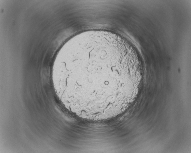 X0000066970107200604211916