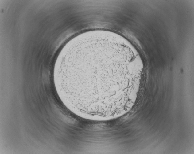 X0000066970108200604211916