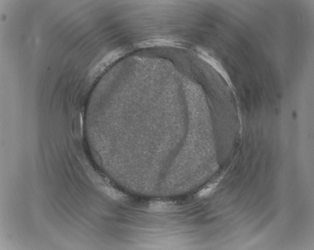 X0000066970109200604211916